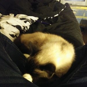 Meet your Posher, Tatiana